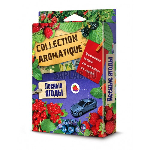 Купить FOUETTE CA12 Ароматизатор FOUETTE 