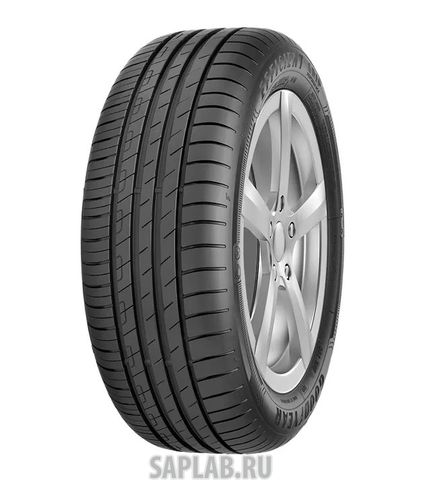 Купить GOODYEAR 542452 Шины GOODYEAR 205/55/16 W 94 EFFIGRIP PERF 2 XL
