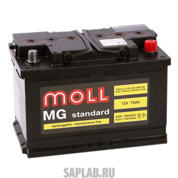 Купить запчасть MOLL - MG75R 