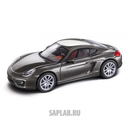 Купить запчасть PORSCHE - WAP0200300D 