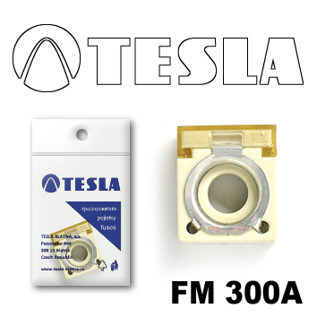 Купить запчасть TESLA - FM300A 