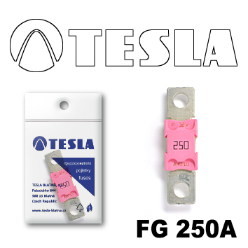 Купить запчасть TESLA - FG250A 