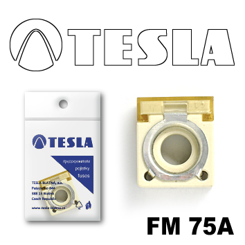 Купить запчасть TESLA - FM75A 